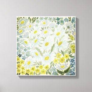 Watercolor . The flowers of the field . Chamomile Canvas Print