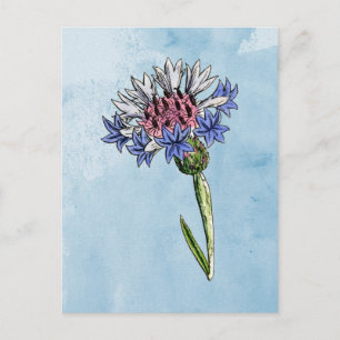 Watercolor Thistle Postcard