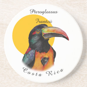 Watercolor toucan coaster