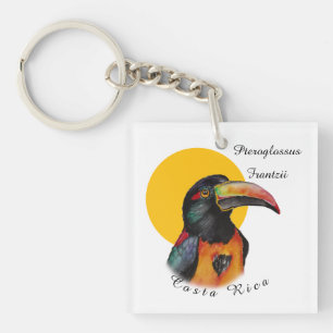 Watercolor toucan key ring
