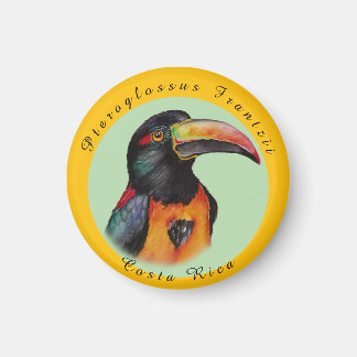 Watercolor toucan magnet