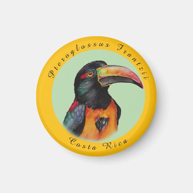 Watercolor toucan magnet (Front)