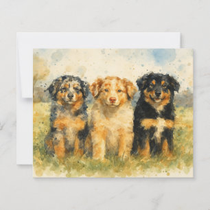 Watercolor Trio of Australian Shepherds in a Field