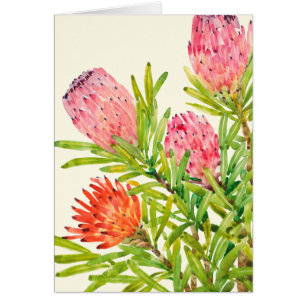 Watercolor Tropical Flowers