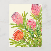 Watercolor Tropical Flowers