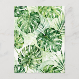 Watercolor Tropical Monstera Palm Leaves Pattern Postcard