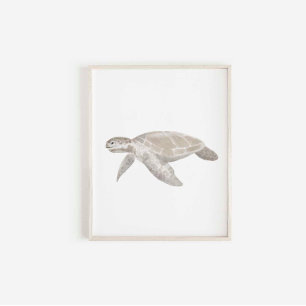 Watercolor turtle print