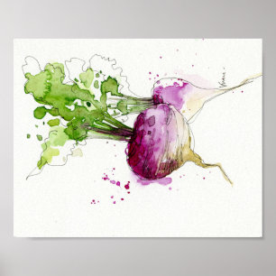 Watercolor Vegetable kitchen art, Turnip Poster