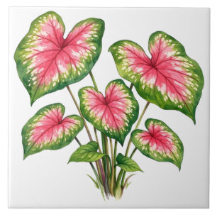 Watercolor Vibrant Pink Caladium Plant Tile