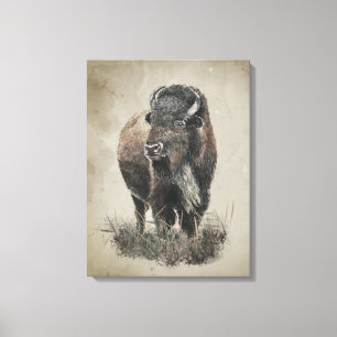 Watercolor Vintage Look Bison Buffalo Animal Art Canvas Print