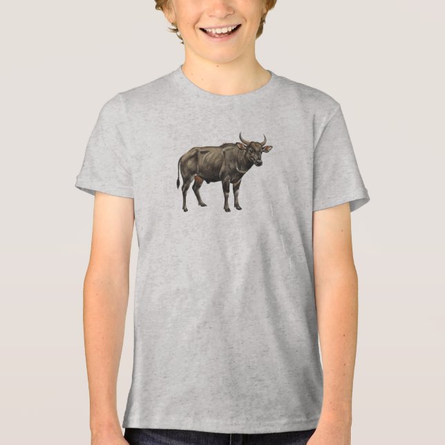 Watercolor Water Buffalo Illustration Tri-Blend Shirt (Front)