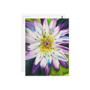 Watercolor water lilies fine art postcard