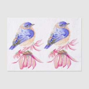 Watercolor Western Bluebird Blue Bird Art for the Tissue Paper