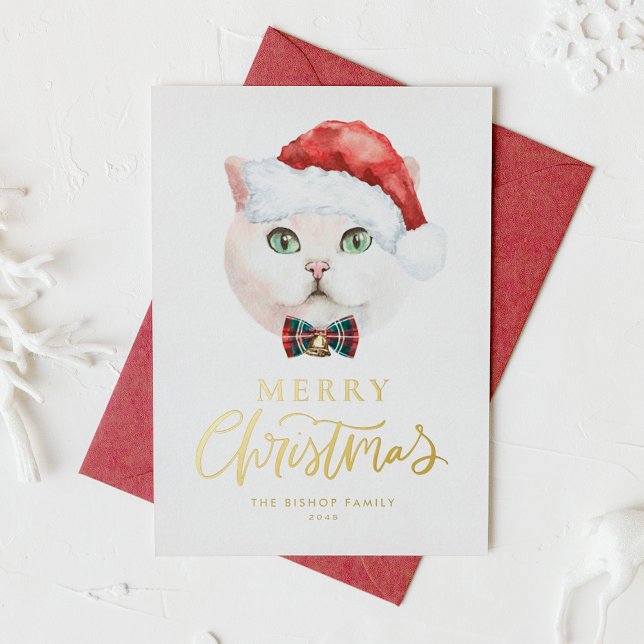 Watercolor White British Shorthair Cat Christmas (Creator Uploaded)