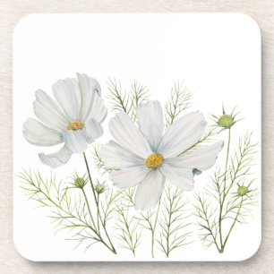 Watercolor White Cosmos Flowers Botanical Painting Coaster