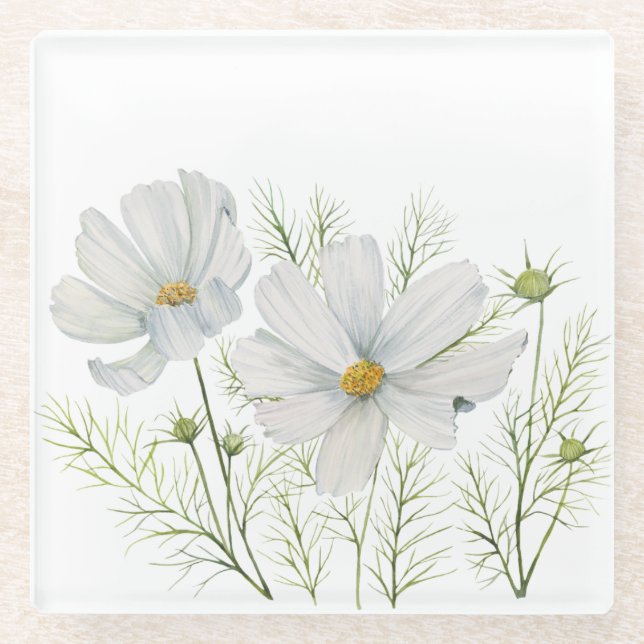 Watercolor White Cosmos Flowers Botanical Painting Glass Coaster (Front)