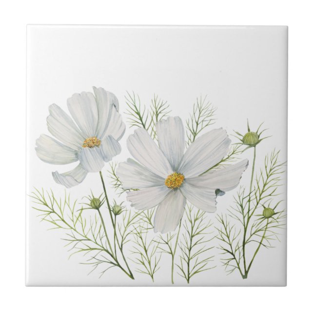 Watercolor White Cosmos Flowers Botanical Painting Tile (Front)