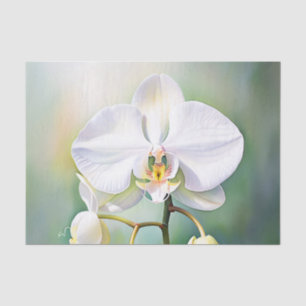 Watercolor White Orchid with Delicate Petals Tissue Paper