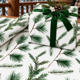 Watercolor White Pine Spruce Juniper Tree Sprigs Wrapping Paper