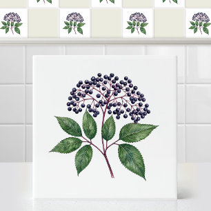 Watercolor Wild Autumn Eldenberry Fruit Branch Tile