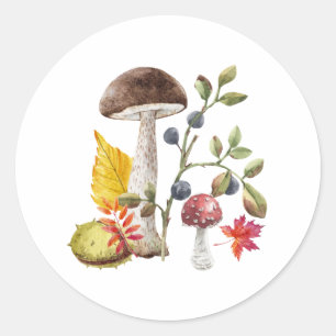 Watercolor Wild Mushrooms, Autumn Leaves, Berries  Classic Round Sticker