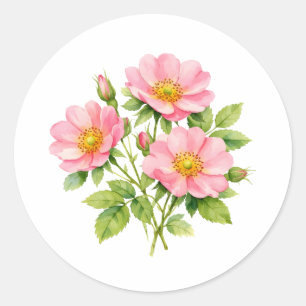 Watercolor Wild Pink Roses  Classic Round Sticker