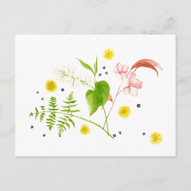watercolor wildlower postcard (Front)