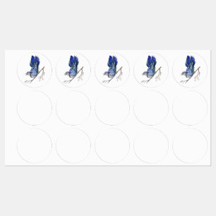 Watercolor woodland bird blue jay