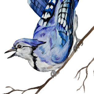 Watercolor woodland bird blue jay