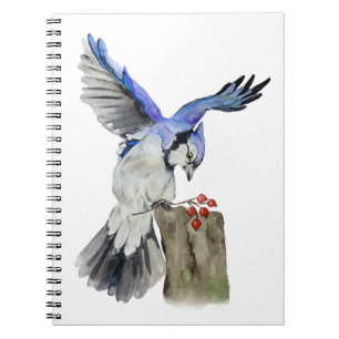 Watercolor woodland bird blue jay notebook