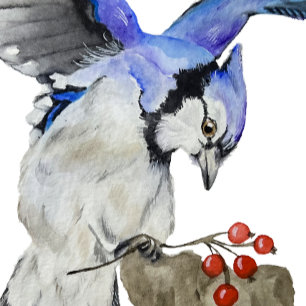 Watercolor woodland bird blue jay postcard