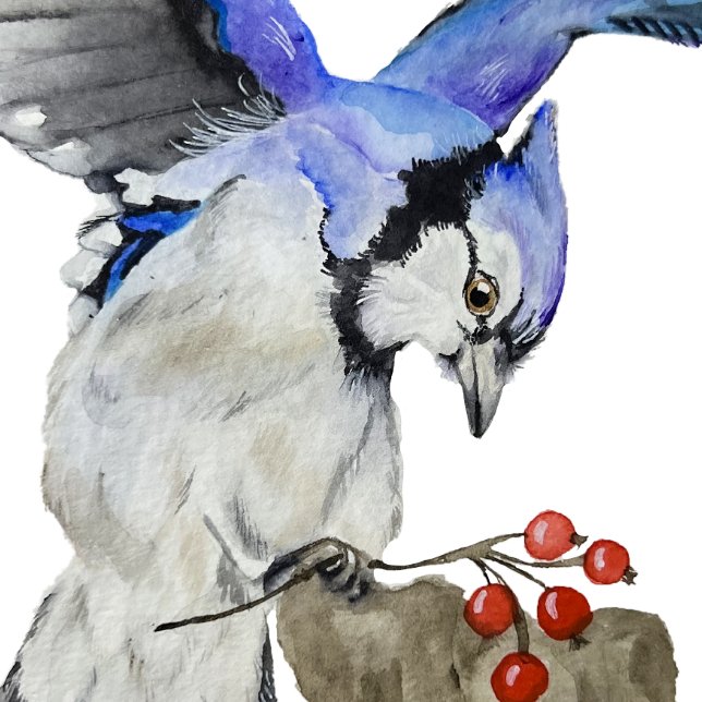 Watercolor woodland bird blue jay postcard (Creator Uploaded)