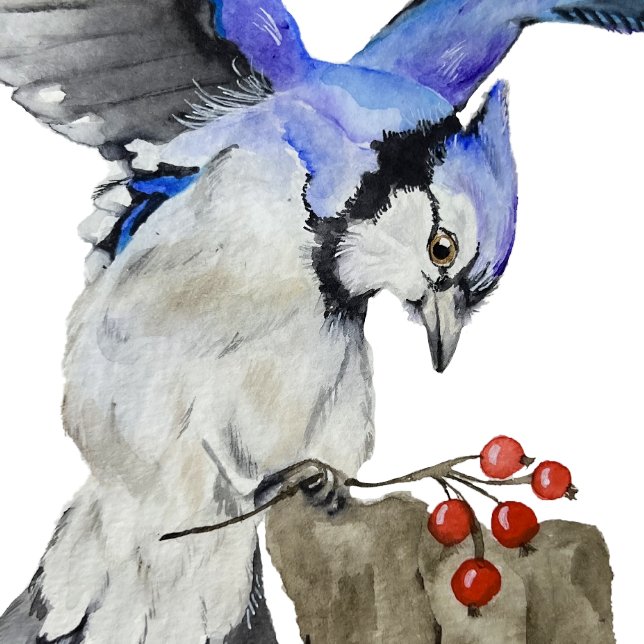 Watercolor woodland bird blue jay poster (Creator Uploaded)