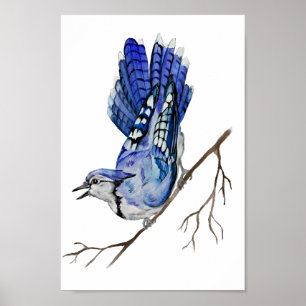 Watercolor woodland bird blue jay poster