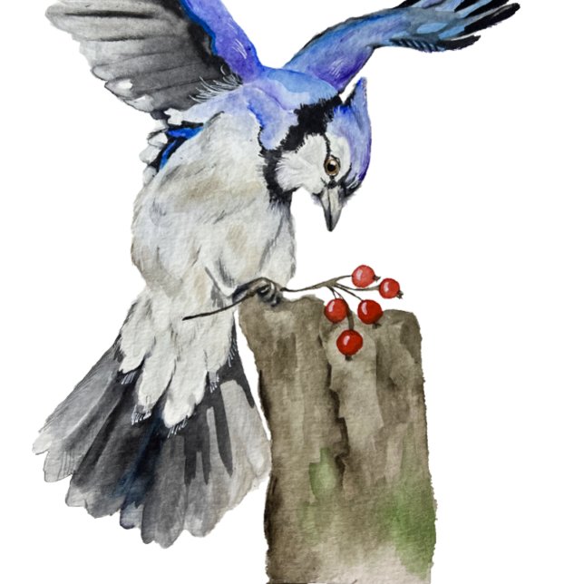 Watercolor woodland bird blue jay T-Shirt (Creator Uploaded)