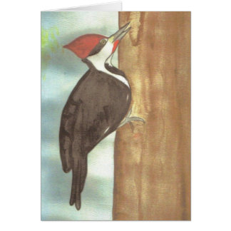 watercolor woodpecker