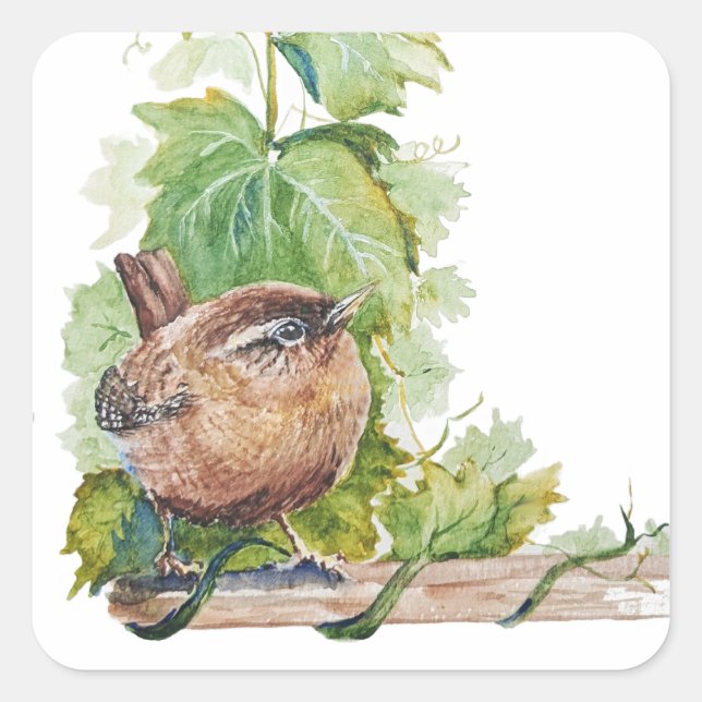 Watercolor Wren Bird Vineyard Grapes Leaves Winery Square Sticker (Front)