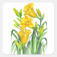 Watercolor Yellow Day Lilies Floral Illustration