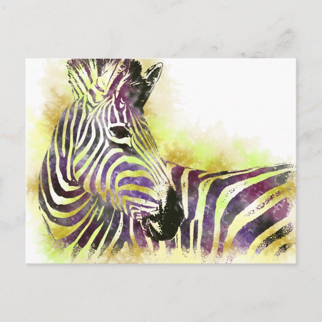 Watercolor Zeba Postcard (Front)