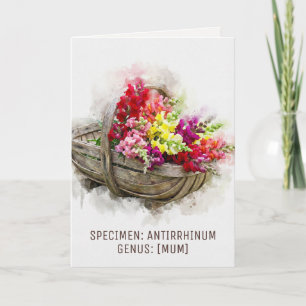 Watercolour Blooms Snapdragon Witty Mother's Day Holiday Card