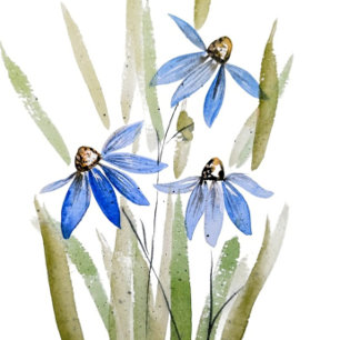 Watercolour Blue Daisies Greeting Card