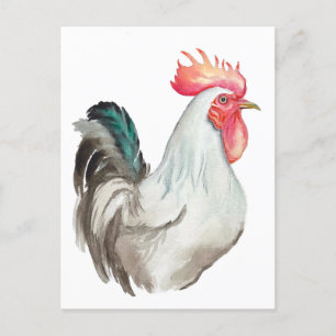 Watercolour hand drawing of a Rooster Postcard