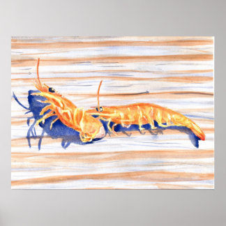 Watercolour of Shrimp on a dock, fishing bait Poster