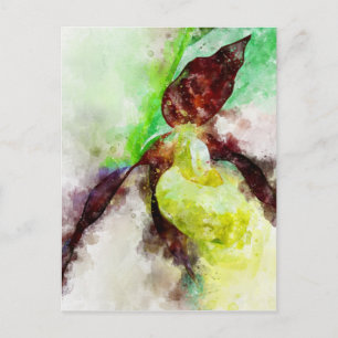 Watercolour Painting of a lady's-slipper orchid Postcard