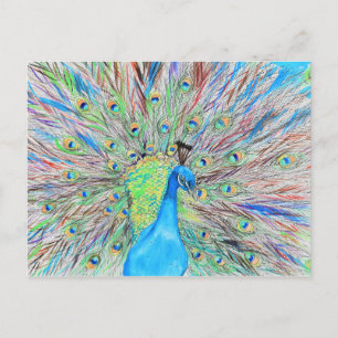 Watercolour Peacock Painting Postcard