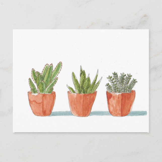 Watercolour Succulent Cactus Plant Postcard (Front)