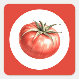 Watercolour tomato illustration square sticker