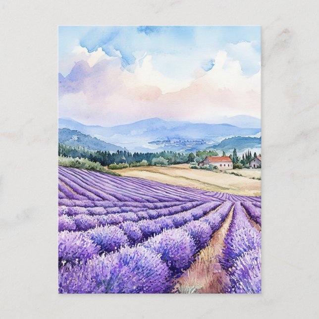 Watercolours serene lavender fields postcard (Front)