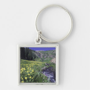Waterfall and wildflowers in alpine meadow, 2 key ring
