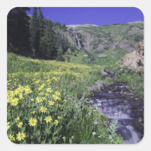 Waterfall and wildflowers in alpine meadow, 2 square sticker